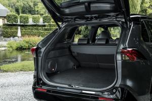 Toyota RAV4 Plug-in Hybrid 2020 года  (WW)